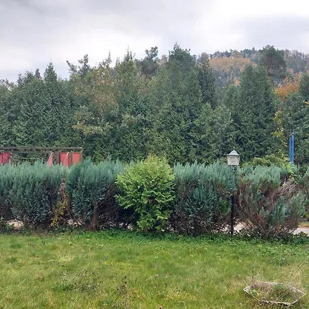 Bed & Breakfast Gaestehaus Bergwald 3*