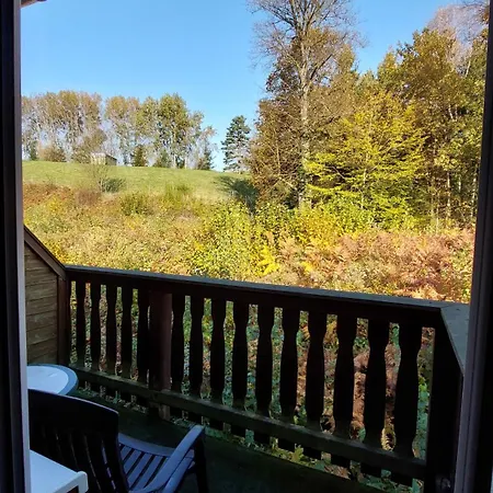 Gaestehaus Bergwald Kurort Gohrisch