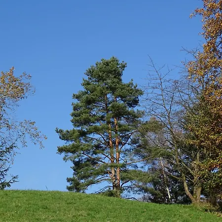 Bergwald