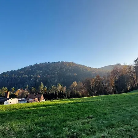 Gaestehaus Bergwald Bed & Breakfast