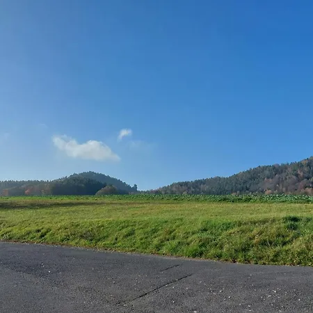 לינה וארוחת בוקר Gaestehaus Bergwald 3*