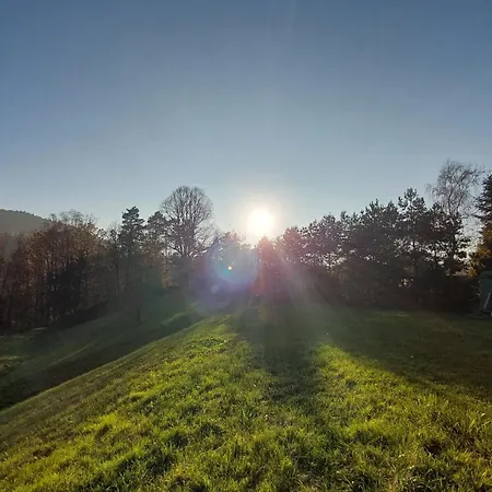 לינה וארוחת בוקר Gaestehaus Bergwald 3*