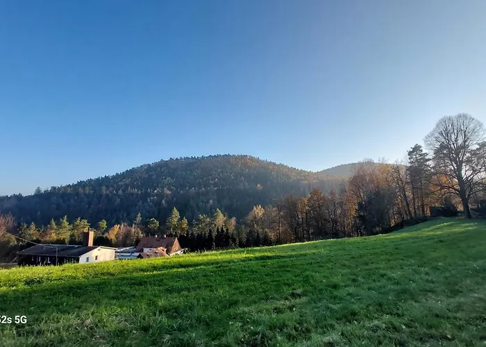 Gaestehaus Bergwald فندق مبيت وإفطار