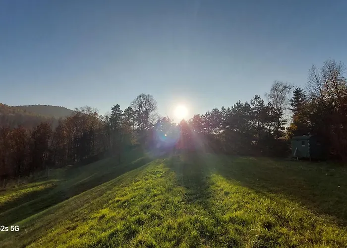 Bed & Breakfast Gaestehaus Bergwald 3*