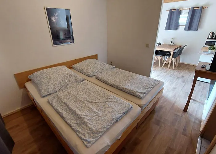 Gaestehaus Bergwald 3* Kurort Gohrisch